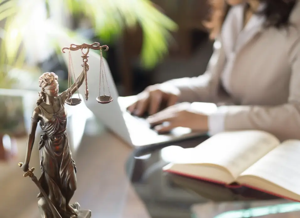 Av. Sümeyra Serter profil fotoğrafı - Seyhan, Adana