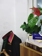 Av. Enes Teker profil fotoğrafı 7 - Tarsus, Mersin