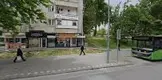 Av. Arb. Ebru Eryılmaz Geyik fotoğrafı - Kale, Denizli