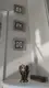 Selçuk Avukatlik & Danişmanlik Bürosu hukuk bürosu fotoğrafı 3 - Selçuklu, Konya