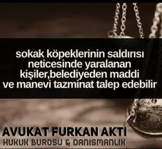 Furkan Akti Hukuk Bürosu hukuk bürosu fotoğrafı 63 - Elazığ, Elazığ