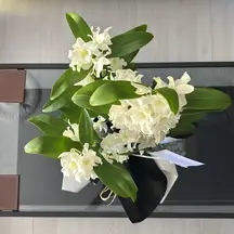 Tepekaya Hukuk Bürosu hukuk bürosu fotoğrafı 237 - Afyonkarahisar, Afyon