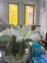 Tepekaya Hukuk Bürosu hukuk bürosu fotoğrafı 103 - Afyonkarahisar, Afyon
