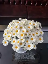 Tepekaya Hukuk Bürosu hukuk bürosu fotoğrafı 81 - Afyonkarahisar, Afyon