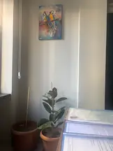 Tepekaya Hukuk Bürosu hukuk bürosu fotoğrafı 186 - Afyonkarahisar, Afyon
