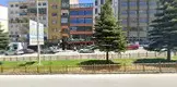Av. Ersin Beyazoğlu fotoğrafı - Erzurum
