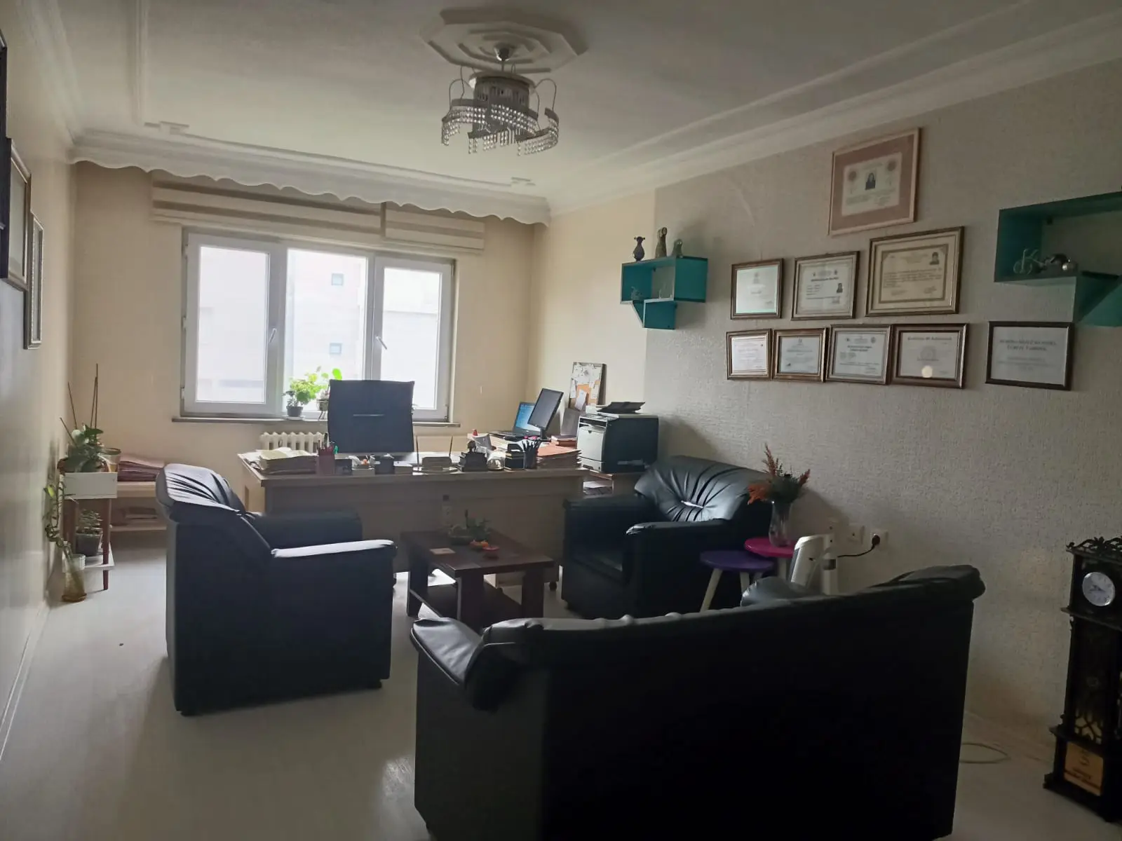 Av. Arb. Hacer Gök profil fotoğrafı - Odunpazarı, Eskişehir