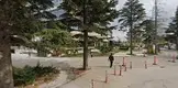 Av. Yusufcan Değişme fotoğrafı - Odunpazarı, Eskişehir
