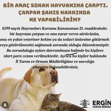 Av. Hatice İrem Ergin Çolakfakıoğlu profil fotoğrafı 12 - Şehitkamil, Gaziantep