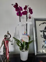 Av. Ferit Yildirim profil fotoğrafı 18 - Şehitkamil, Gaziantep