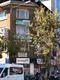 Av. Fadime Akyol fotoğrafı - Afyonkarahisar, Afyon