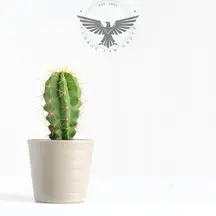 Av. Arb. A. Kadir Akıllar profil fotoğrafı 16 - Şehitkamil, Gaziantep