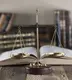 Av. Arb. Arif Sadi Kişla & Tuğba Güllü Kişla fotoğrafı - Giresun, Giresun