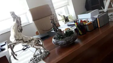 Av. Arb. Ceren Sümer Cilli profil fotoğrafı 35 - Seyhan, Adana