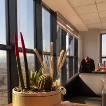 Tunç Sudi Tol Hukuk Bürosu hukuk bürosu fotoğrafı 29 - Akdeniz, Mersin