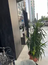 Av. Halil Bakirci profil fotoğrafı 50 - Akdeniz, Mersin