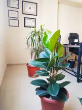 Av. Reyhan Kayışlı Arslanbuğa profil fotoğrafı 43 - Akdeniz, Mersin