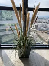 Palma Hukuk ve Avukatlık Ofisi hukuk bürosu fotoğrafı 39 - Akdeniz, Mersin