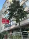 Av. Özlem Akşahin fotoğrafı 2 - Şişli, İstanbul