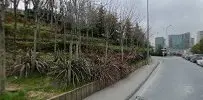 Av. Serpil Çinar profil fotoğrafı 6 - Üsküdar, İstanbul