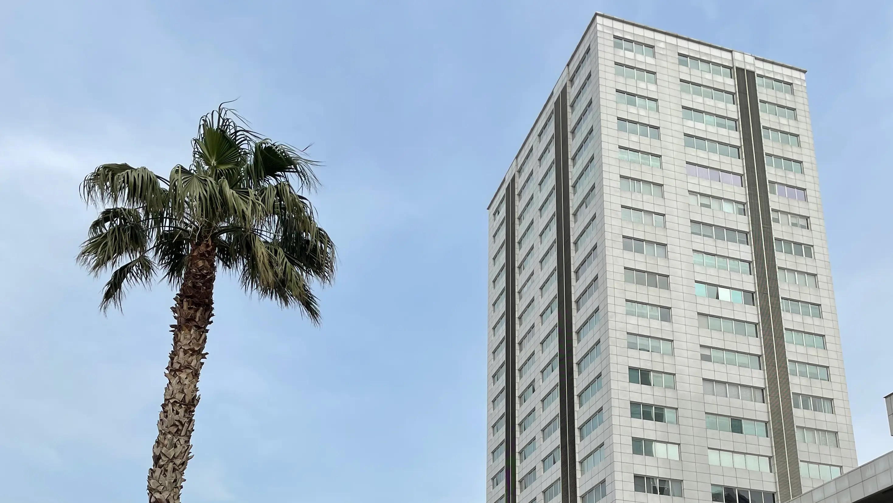 Denizaslanı Hukuk Bürosu hukuk bürosu fotoğrafı - Konak, İzmir