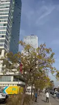 Denizaslanı Hukuk Bürosu hukuk bürosu fotoğrafı 8 - Konak, İzmir