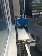 Av. Ramazan Sertan Safsöz profil fotoğrafı 91 - Konak, İzmir