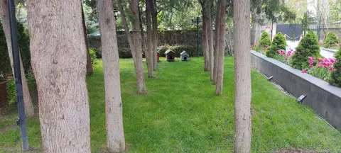 Azize Yöreci hukuk bürosu fotoğrafı 58 - Kocasinan, Kayseri