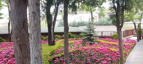 Azize Yöreci hukuk bürosu fotoğrafı 16 - Kocasinan, Kayseri