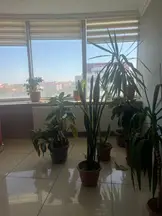 Av. Arb. Süleyman Güney profil fotoğrafı 60 - Karatay, Konya