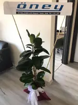 Kutluer Hukuk Bürosu hukuk bürosu fotoğrafı 10 - Karatay, Konya