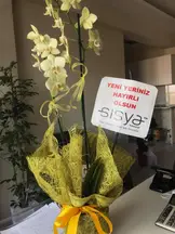 Kutluer Hukuk Bürosu hukuk bürosu fotoğrafı 4 - Karatay, Konya