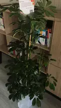 Kutluer Hukuk Bürosu hukuk bürosu fotoğrafı 9 - Karatay, Konya