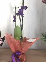 Kutluer Hukuk Bürosu hukuk bürosu fotoğrafı 18 - Karatay, Konya