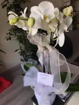 Kutluer Hukuk Bürosu hukuk bürosu fotoğrafı 17 - Karatay, Konya