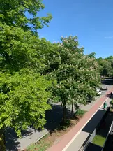 Av. Bülent Erdil profil fotoğrafı 5 - Çankaya, Ankara