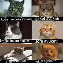 Av. Yusuf Ekinçi profil fotoğrafı 40 - Battalgazi, Malatya
