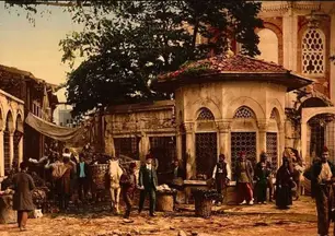 Av. Mehmet Mustafa Özünver profil fotoğrafı 6 - Battalgazi, Malatya