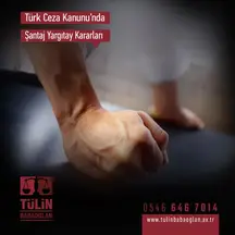 Avukat Tülin Babaoğlan Yılmaz Hukuk Bürosu hukuk bürosu fotoğrafı 85 - Çankaya, Ankara