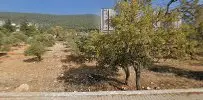Av. İhsan Sayıcı profil fotoğrafı 13 - Kahramanmaraş, Kahramanmaraş