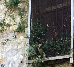Av. Görkem Demircan profil fotoğrafı 4 - Etimesgut, Ankara