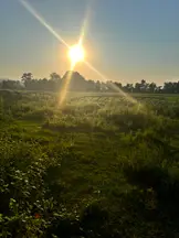 Av. Selen Çağla profil fotoğrafı 46 - İlkadım, Samsun