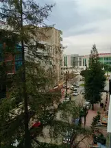 Av. Gözdenur Dilşah Çaloğlu profil fotoğrafı 4 - İlkadım, Samsun