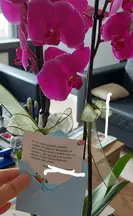 Av. Dilek Fırtına Toraman profil fotoğrafı 9 - Sivas, Sivas