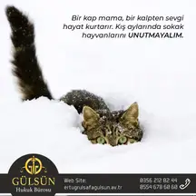 Gülsün Hukuk Bürosu hukuk bürosu fotoğrafı 26 - Niksar, Tokat