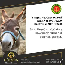 Gülsün Hukuk Bürosu hukuk bürosu fotoğrafı 21 - Niksar, Tokat