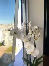 N&F Hukuk Ve Danışmanlık hukuk bürosu fotoğrafı 57 - Seyhan, Adana