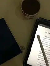 N&F Hukuk Ve Danışmanlık hukuk bürosu fotoğrafı 114 - Seyhan, Adana