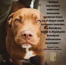 N&F Hukuk Ve Danışmanlık hukuk bürosu fotoğrafı 90 - Seyhan, Adana
