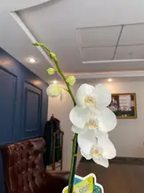 N&F Hukuk Ve Danışmanlık hukuk bürosu fotoğrafı 40 - Seyhan, Adana